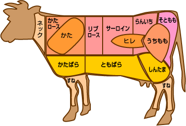 牛肉部位図